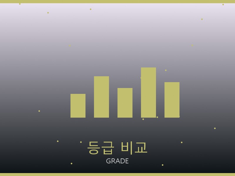 아이앱 레플리카 사이트 등급 기준 비교